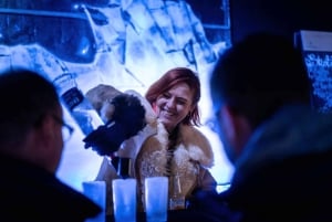 Bezienswaardigheden in Berlijn: HOHO-bus - alle lijnen & Icebar