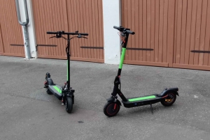 Rickshaw, (E-)cykel eller E-scooter delt Guide i små grupper