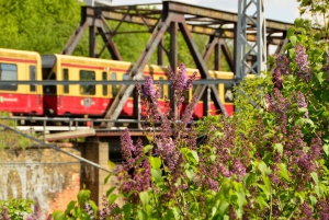 EasyCityPass Berlin: Strefa AB Transport publiczny i zniżki