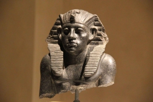 Collezione egizia: Biglietto del Neues Museum (ENG)