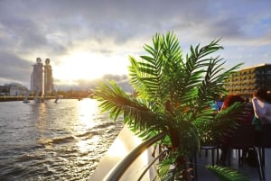 Kvällsbåttur 1,5 timme med vår solkatamaran