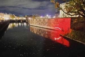 Berlin: taxi-bicycle Tour by Night and Illuminations