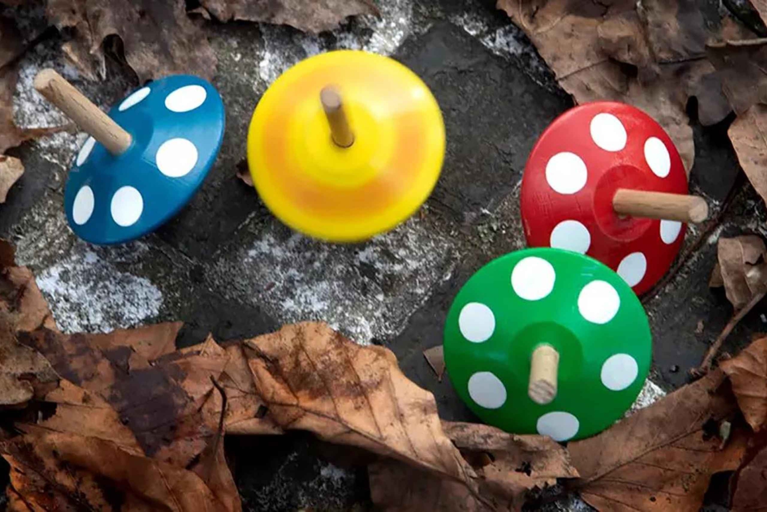 Foto Workshop Privat in Berlin, 1:1, Theorie + Praxis