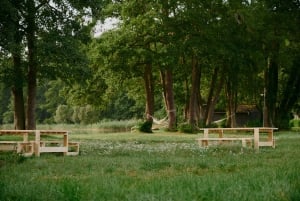 From Berlin: 2 Night Digital Detox in a Lakeside Cabin