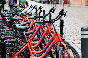 From Berlin: Gardens & Palaces of Potsdam Bike Tour