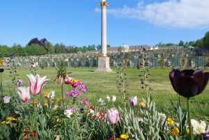 Fra Berlin: Potsdam halvdags guidet tur