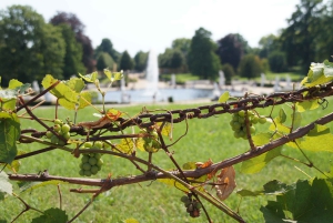 From Berlin: Potsdam Half-Day Tour in Spanish