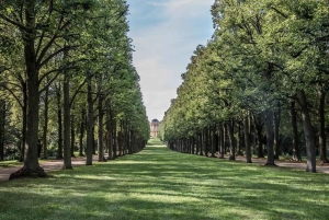 From Berlin: Potsdam & Spreewald Private Day Trip