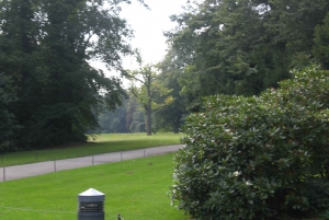 From Berlin: Private Guided Day Trip to Dresden