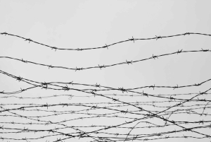 From Berlin: Sachsenhausen Concentration Camp Guided Tour