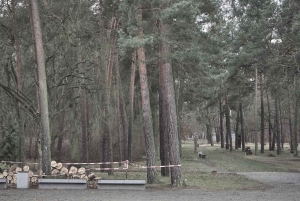 From Berlin: Sachsenhausen Concentration Camp Guided Tour