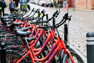 Vanuit Berlijn: Tuinen & Paleizen van Potsdam Fietstocht
