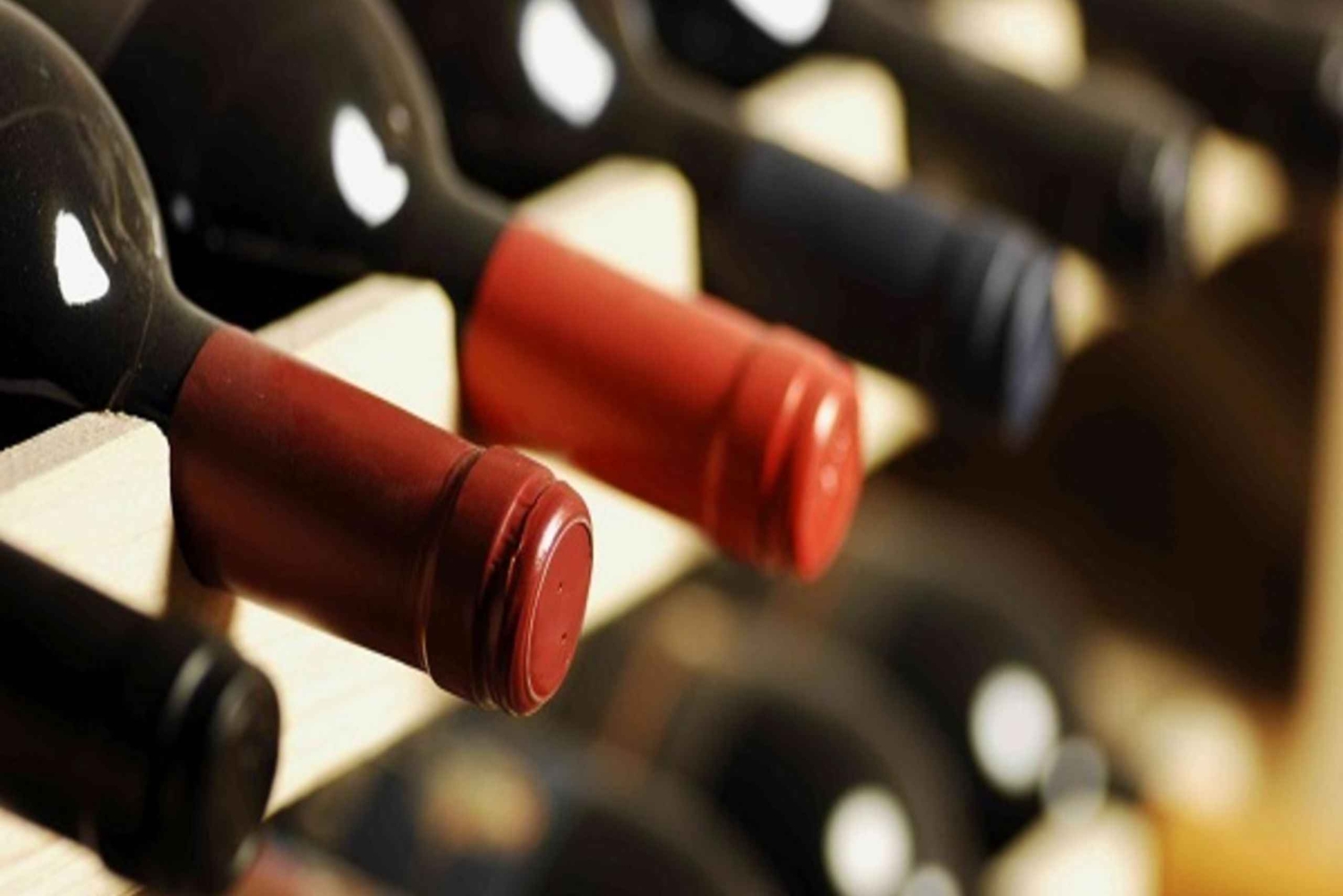 Vino georgiano, khachapuri e pizza, con tour di Tbilisi in omaggio