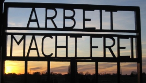 Best Tours in Berlin