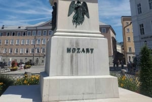 Munich: Salzburg & Hallstatt Alpine Adventure, Private Tour.