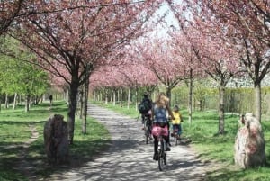 Privado: tour de medio día en bici por el distrito de Pankow de Berlín