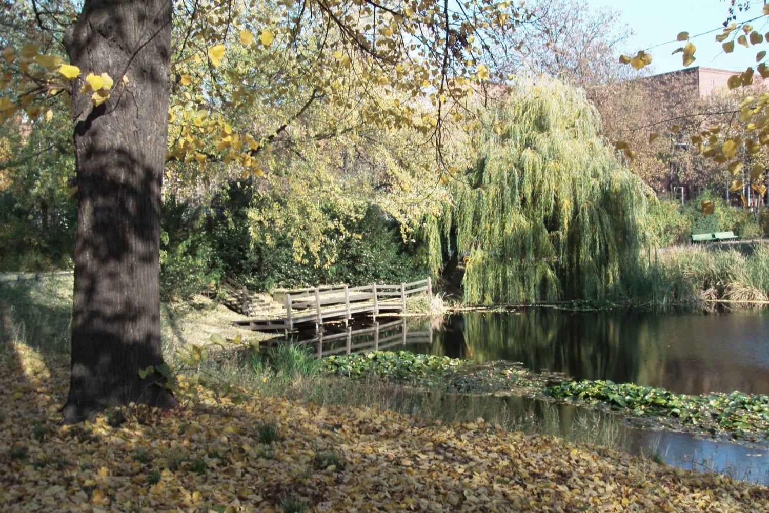 Privat: Undiscovered Berlin: Small Group Bicycle Tour