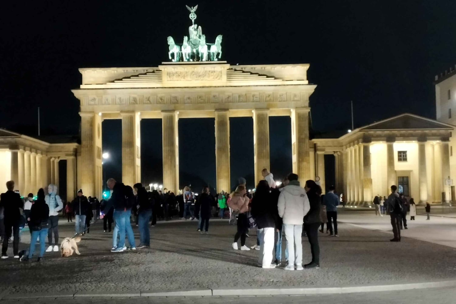 Yksityinen Berliini ilta-/yöminibussilla, kuljettaja ja opas