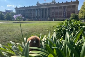 Private Berlin Stadtführung 3-4 Stunden