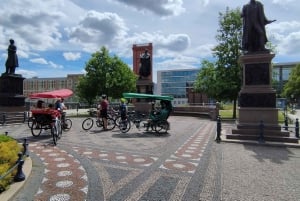 Private Highlights 1 Rickshaw +(E) bikes, E-rollers up to 6