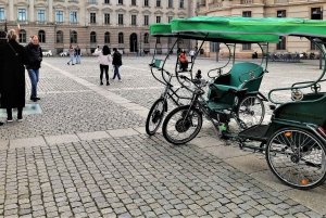 Rickshaws privados (multipersonales) con recogida en el hotel.