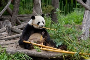 Private Transport to Berlin Zoo with Skip-the-line Ticket