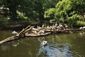 Private Transport to Berlin Zoo with Skip-the-line Ticket