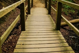 Rügenin saari: Rügen: Päiväretki Itämeren rannikolla Berliinistä.