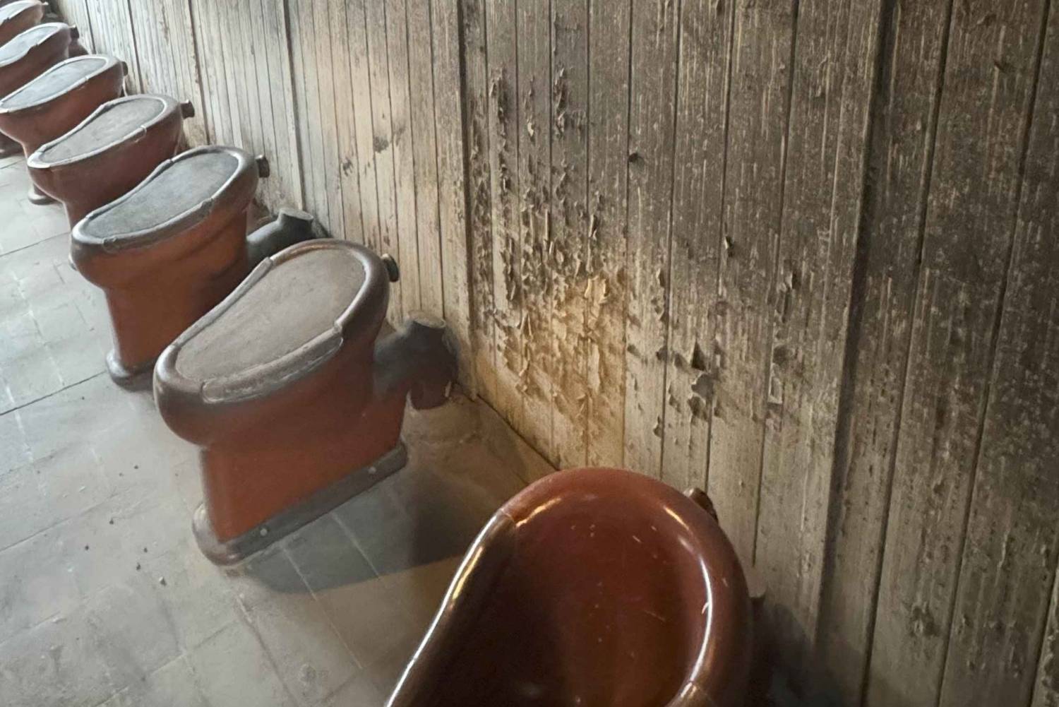 Koncentrationslejren Sachsenhausen med tog og til fods (6 timer)