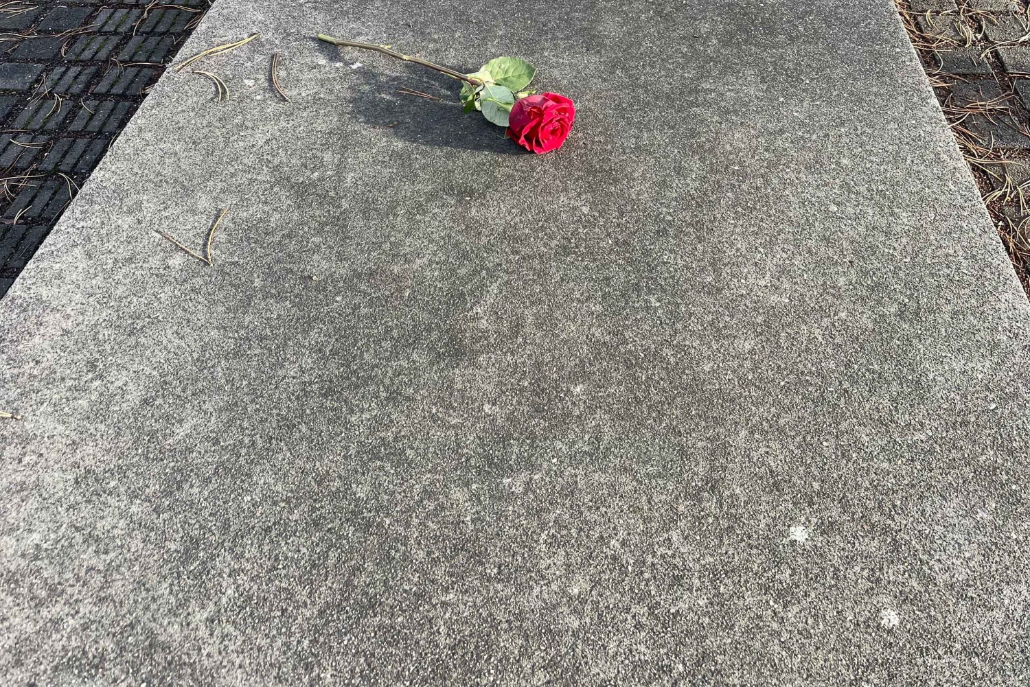 Koncentrationslejren Sachsenhausen med tog og til fods (6 timer)