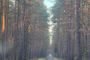 Koncentrationslejren Sachsenhausen med tog og til fods (6 timer)