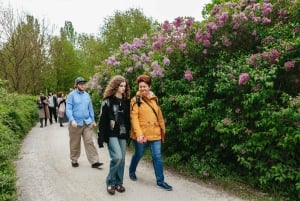 Small group Potsdam: A Journey Through History and Palaces