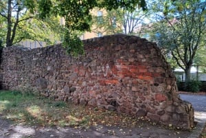 Tour a piedi del cuore antico di Berlino