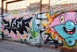 The Walls of Berlin: Street Art Tour with an Artist