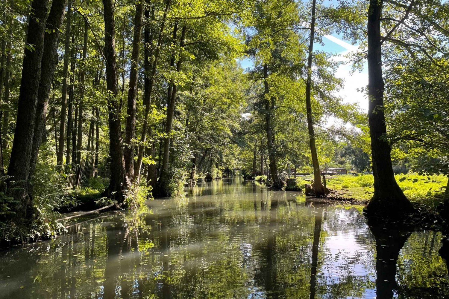Tour a Spreewald with the biosphere boat ride
