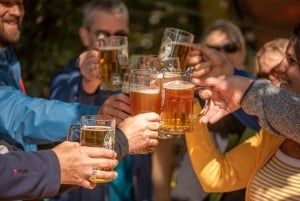 Ultimate E-Bike Tour of Berlin with Beer Garden Stop