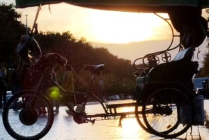 Unic Berlin (Multi) Rickshaw Private by Night Taylor Made