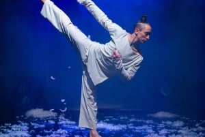 Berlin: '90s Forever - Hits & Acrobatics' - Varieté Show