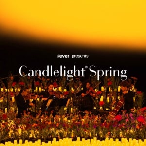 Candlelight Spring: Tribute to Phil Collins
