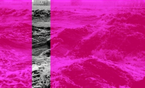 14th Forum Expanded group exhibition @Berlinale2019