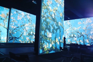 FROM MONET TO KANDINSKY.VISIONS ALIVE – The Multimedia Exhibition