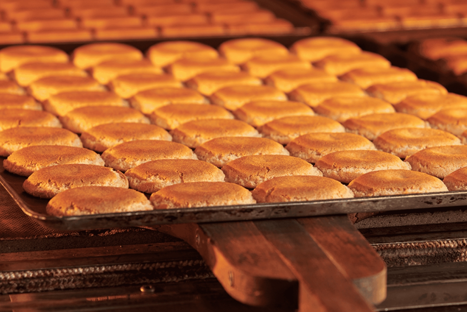 Biarritz and the french basque coast: VIP gourmet tour