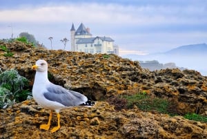 Biarritz: Culture and Food Walking Guided Tour