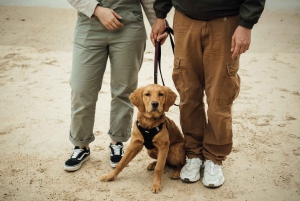 Biarritz Private Photoshoots