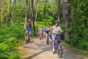 Biarritz: Guided E-Bike Tour to Bayonne