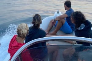 Excursion Bateau Biarritz, Pays basque