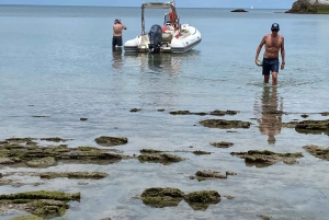 Excursion Bateau Biarritz, Pays basque