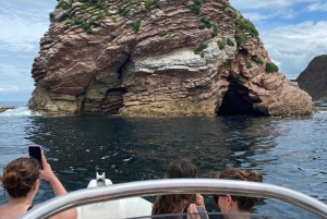 Excursion Bateau Biarritz, Pays basque