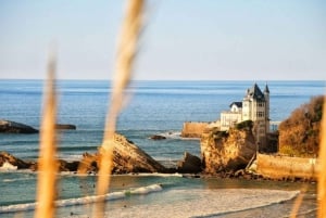 French Basque Country Coastline tour in a 70'sVW Van