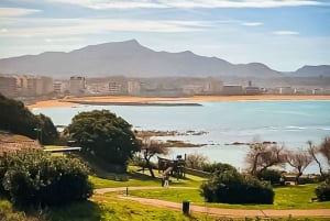 French Basque Country Coastline tour in a 70'sVW Van